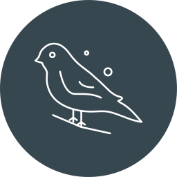 Sparrow icon