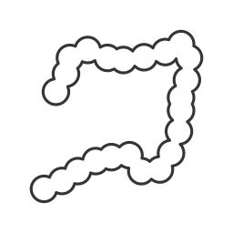 organes Icône