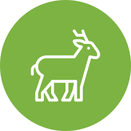 Deer icon