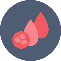 Blood cells icon