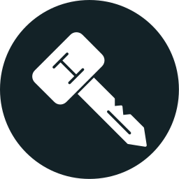 Primary key icon