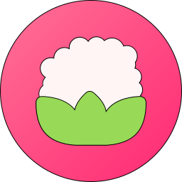 blumenkohl icon