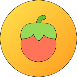 tomate icon