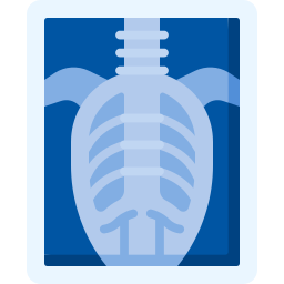 X ray icon