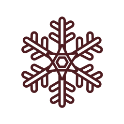 Christmas icon