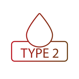 Type 2 icon