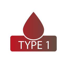 Type 1 icon