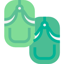 Sandals icon