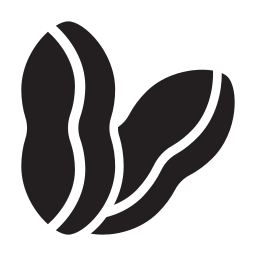 Fruits icon