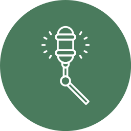 Microphone icon