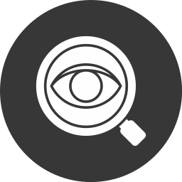 Insight icon