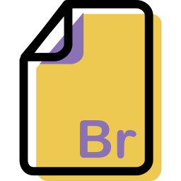 br icon