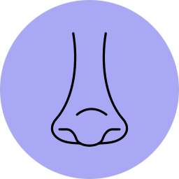 Rhinology icon