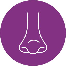 Rhinology icon