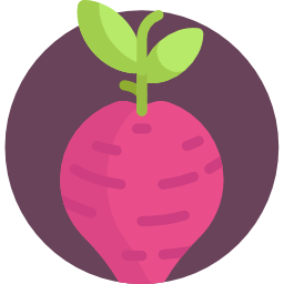 Beet icon