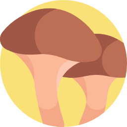 Mushroom icon