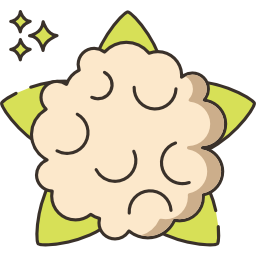 blumenkohl icon