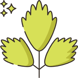 Parsley icon