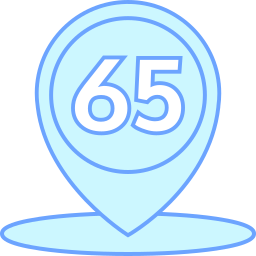 65 icon