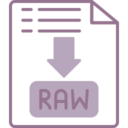 Raw file icon