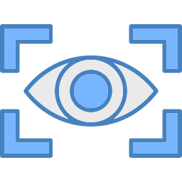 vision icon