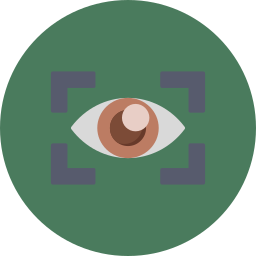 Vision icon