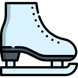 Skates icon