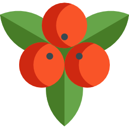 Mistletoe icon