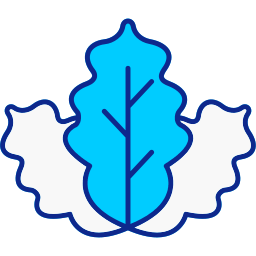 Cabbage icon