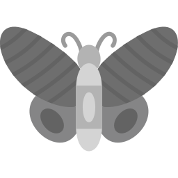 schmetterling icon