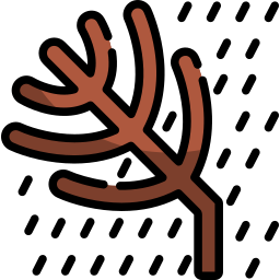 baum icon