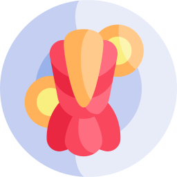 Grilled lobster tail icon