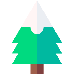 Pine tree icon