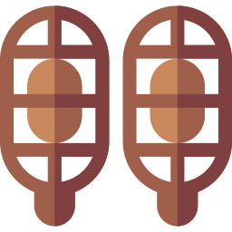 Snowshoes icon