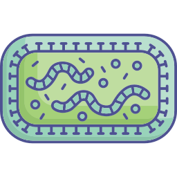 Coronavirus icon