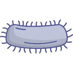 Infection icon