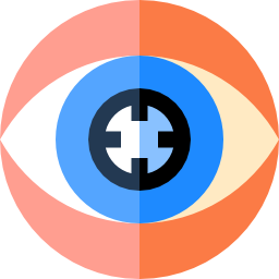 Vision icon