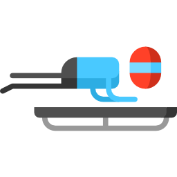 Luge icon