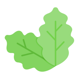 Cabbage icon