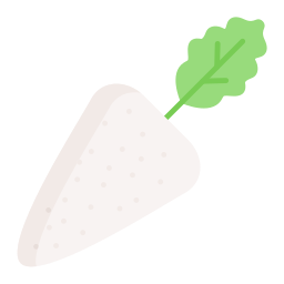 Radish icon