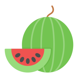 Watermelon icon