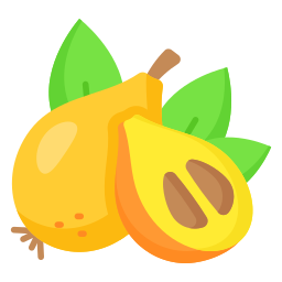 Loquat icon