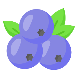 Blueberry icon