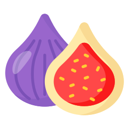 Fig icon