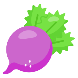 Radish icon