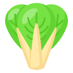 Bok choy icon