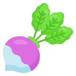 Turnip icon