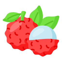 Lychee icon