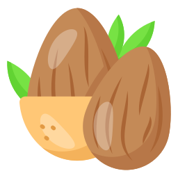 Almond icon