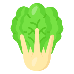 Cabbage icon